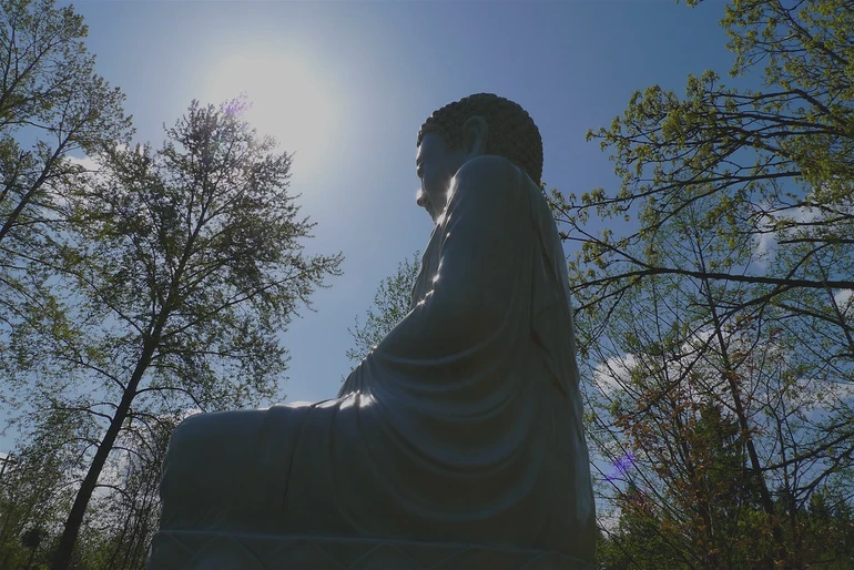 "Do cái này có nên cái kia có; cái này khởi nên cái kia khởi"