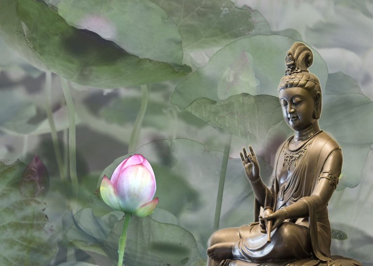  "Tâm từ bi kết hợp với trí tuệ là nền tảng của sự chữa lành cảm xúc"