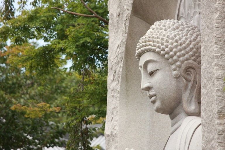 "Một là khéo biết bệnh; hai là khéo biết căn nguyên của bệnh; ba là khéo biết cách chữa trị bệnh; bốn là khéo biết trị lành bệnh để về sau bệnh không còn tái phát nữa"