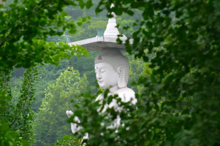 Một trong những nguyên nhân chính của đau khổ là sự tham muốn