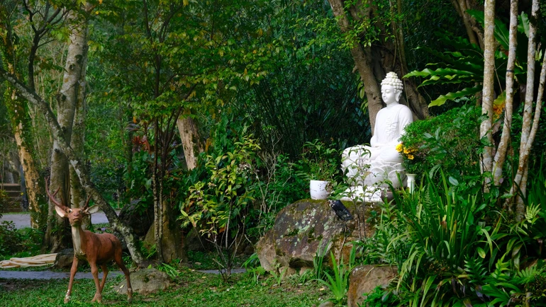 Kinh Nhất dạ hiền giả không chỉ nêu lên vấn đề, mà còn chỉ rõ phương pháp thực tiễn để an trú hiện tại. Tinh thần ấy được diễn đạt qua ba yếu tố chánh niệm, tỉnh giác, và tuệ quán - Ảnh: Huyền Không Sơn Thượng