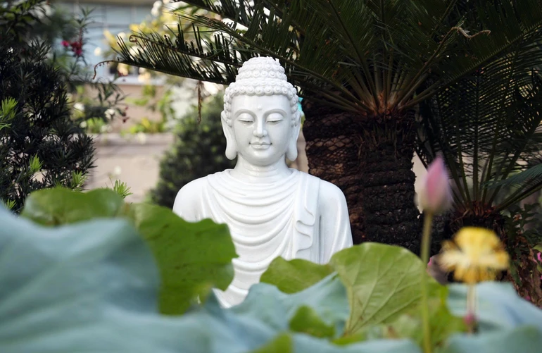 Ảnh: Nguyên Tài/BGN