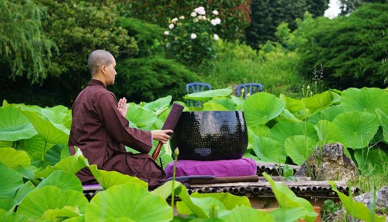  Vượt qua - tri ân nghịch cảnh