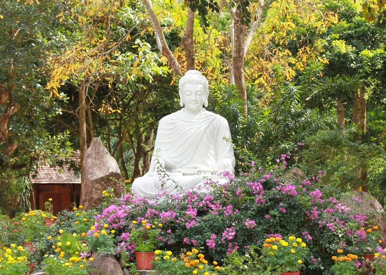 Chánh niệm có thể giúp chúng ta hiện diện trọn vẹn trong một thế giới đầy phân tâm và cảm thấy thoải mái hơn trong cơ thể và cuộc sống của mình - Ảnh: Lê Ngọc