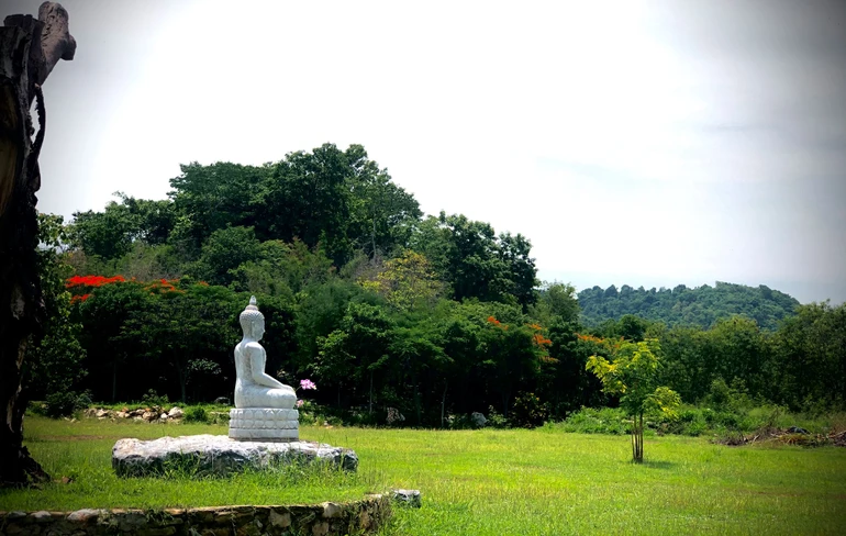 Ảnh: Làng Mai