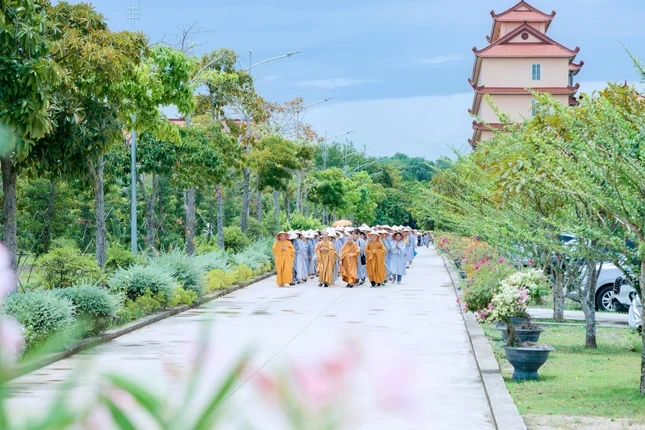Thời khóa thiền hành trong Khóa tu Ngày an lạc tổ chức ở Học viện Phật giáo VN tại TP.HCM - Ảnh: Nhân Hòa