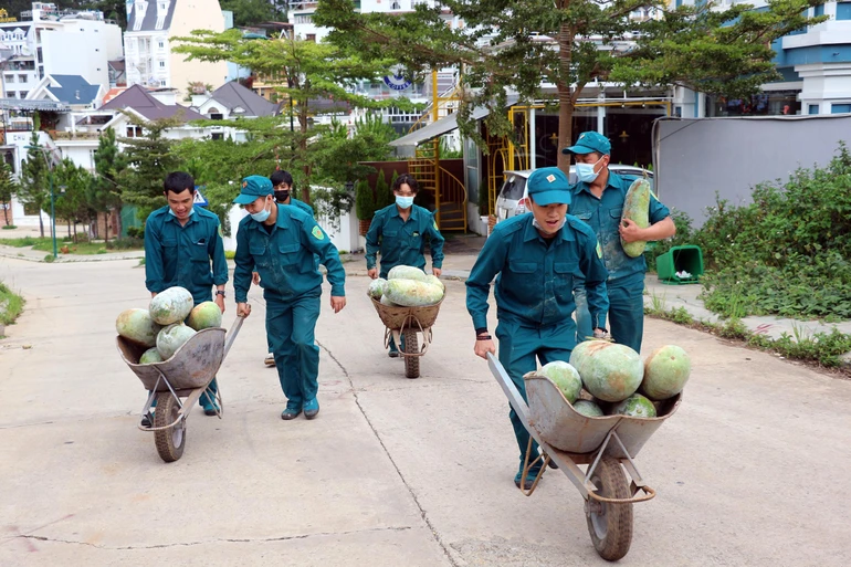 Các chiến sĩ trong Bộ Chỉ huy Quân sự TP.Đà Lạt cùng nhau vận chuyển nông sản ra xe