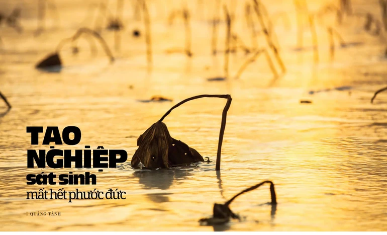 Bài trên Báo Giác Ngộ số 1287 - Thiết kế: Phòng Mỹ thuật BGN/Tống Viết Diễn