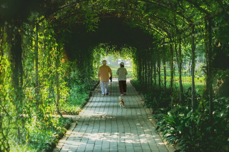 Nơi bình yên tuổi xế chiều, hay nơi để tuổi trẻ mở trải cả tâm và trí đều gắn với thiên nhiên - Ảnh: L.Đ.L