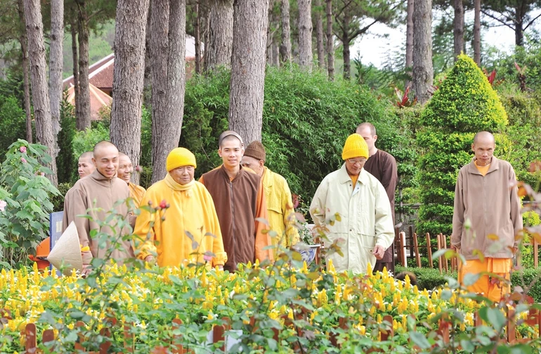 Ảnh: Thường Chiếu