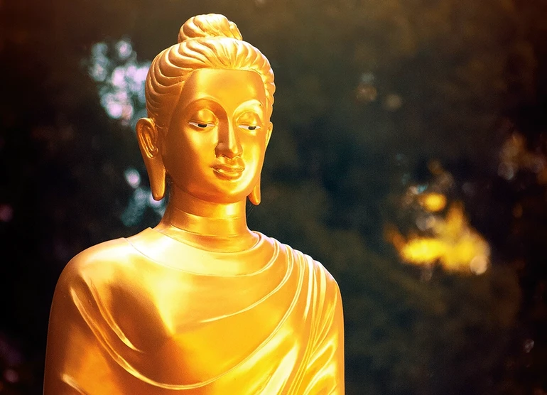 Đạo Phật là con đường chuyển hóa nhân tính từ xấu thành tốt, từ ác sang thiện, cũng đồng nghĩa là đường hướng xây dựng đạo đức và hạnh phúc cho tự thân và cho cuộc đời - cơ bản là sự chuyển hóa hay tịnh hóa ba nghiệp thân, khẩu, ý