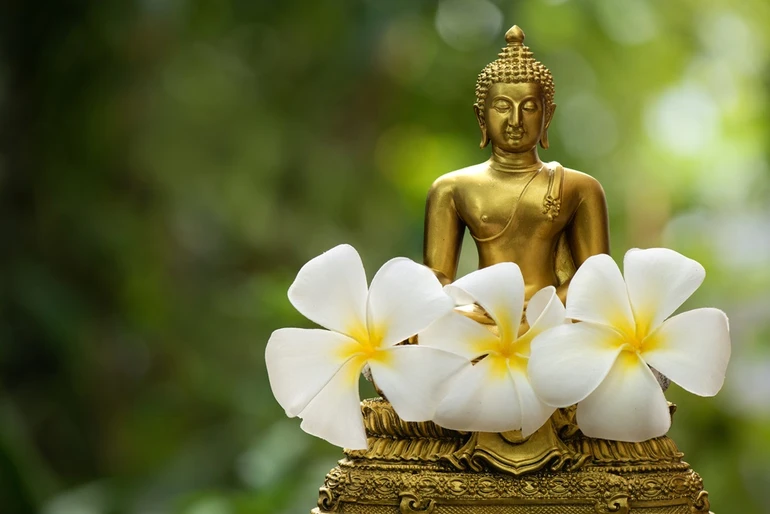 Tam tuệ học Văn - Tư - Tu được xem là phương pháp học Phật của những hành giả sơ cơ, giúp nhận định rõ ràng phương hướng tu tập để từng bước nhận lại trí tuệ và tiến tới giác ngộ giải thoát