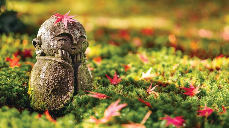 Tất cả mọi cá thể đều bình đẳng với nhau trong việc tìm kiếm hạnh phúc và lẫn tránh khổ đau, đó là bản năng và quyền hạn của mỗi cá thể