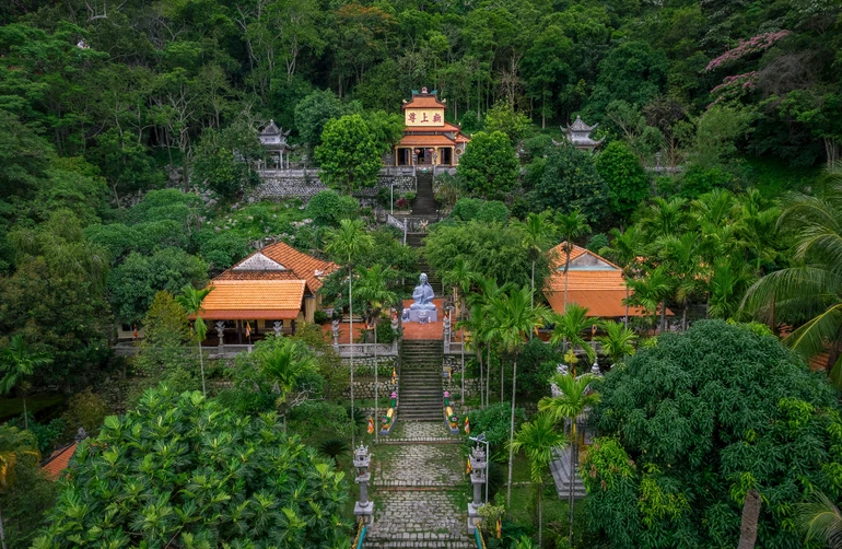 Chùa Linh Sơn Long Đoàn nép mình giữa rừng xanh Tà Cú, mang đến không gian tĩnh lặng và trầm mặc hiếm có