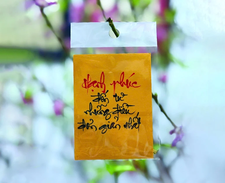 Đầu năm về chùa xin chữ