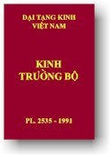 Góp phần đề nghị một đề cương biên dịch cho Đại tạng kinh Việt Nam