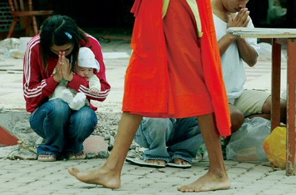 Chuyện đời của một sư cô