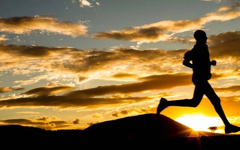 Hành trình đời người, sinh ra không mang gì theo và đến lúc đi cũng vậy, chỉ có nghiệp đã tạo thì theo mình như bóng với hình - Ảnh minh họa