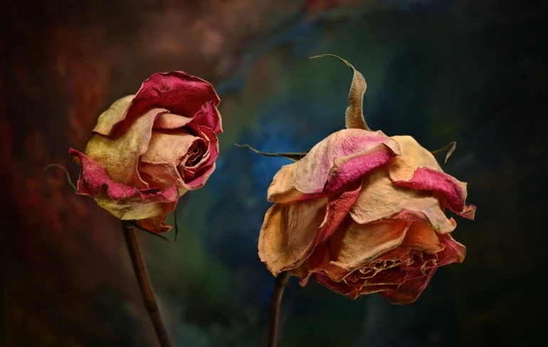 Hiểu đúng về tạo nghiệp sát