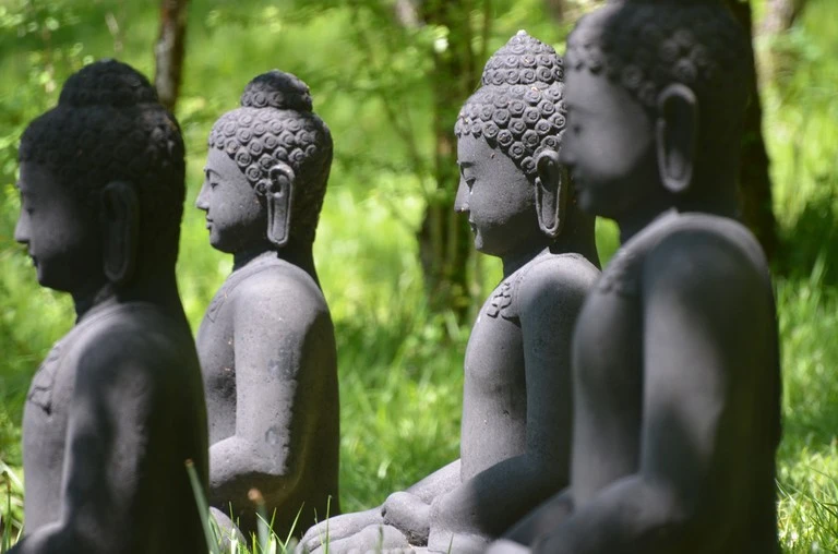 Để Chánh pháp trường tồn