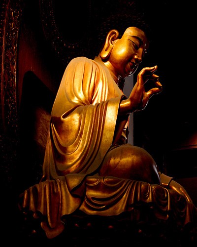 Phật thuyết Phật Y kinh (*)