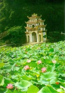 Vui thay Phật ra đời!