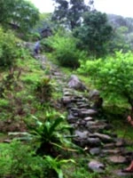 Những nét siêu thoát của Phật Hoàng Trần Nhân Tông