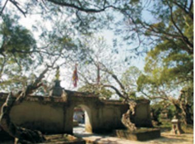 Lăng mộ Trần Nhân Tông ở Yên Tử.(Ảnh trích từ www.vuonlam.us)