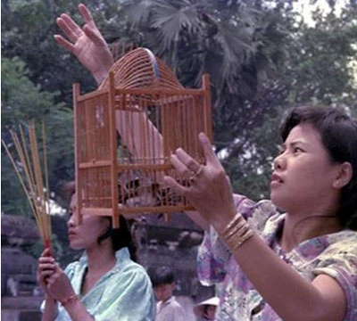 Phóng sanh ngày mồng một Tết: Nét văn hóa đẹp