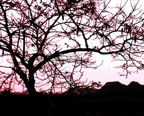 Điều gì đến sẽ đến