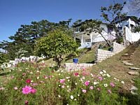 Du lịch... ‘thiền’