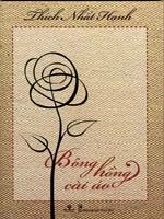 "Bông hồng cài áo"