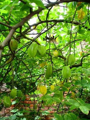 Sống đạo: Ba mẹ là quê hương