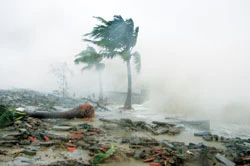 Viết ngắn: Ba ơi ! Con muốn gặp mẹ