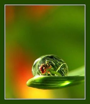 Cuộc sống từ những ước mơ