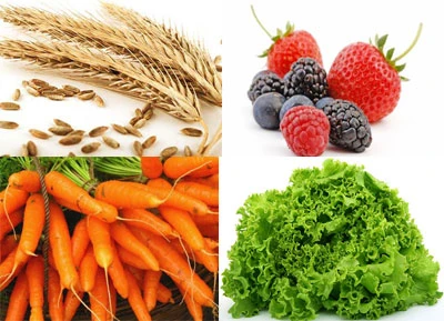 Tăng cường sức khỏe hằng ngày trong cuộc sống hiện đại