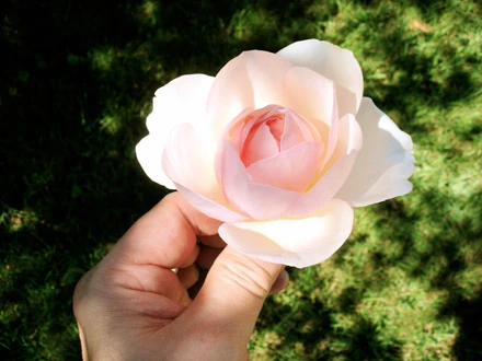 Gieo nhân lành chắc chắn sẽ gặt quả tốt