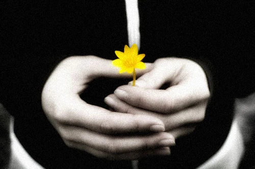 Hạnh phúc ở đâu?