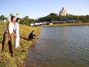 Cá phóng sinh bị săn trộm