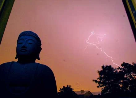 Kinh Duy Ma: Bài 5 >> Phẩm 5: Văn Thù Sư Lợi Bồ tát thăm bệnh