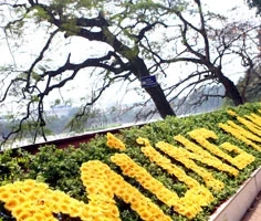 Hồ Hoàn Kiếm được trang trí lộng lẫy.