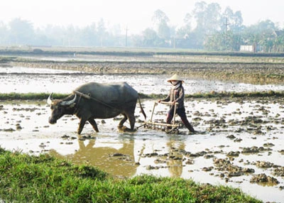 Con nhớ những xuân trước…