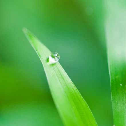 Thế giới hiện tượng  thay đổi liên tục