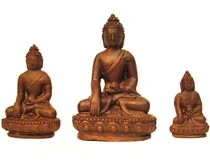 Ảnh minh họa fpmt.