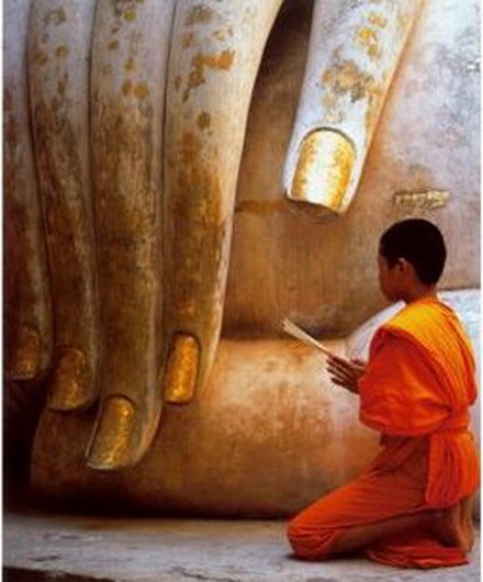 Hồi hướng công đức