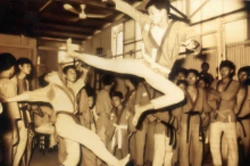 Là Thiếu Lâm Bắc phái nên Thái Cực Đường Lang chú trọng các tấn công đối phương bằng cước pháp. (Võ đường Trần Minh năm 1969)