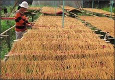 Mùa Tết - mùa nhang