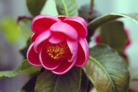 Đối mặt với gió mưa cuộc đời