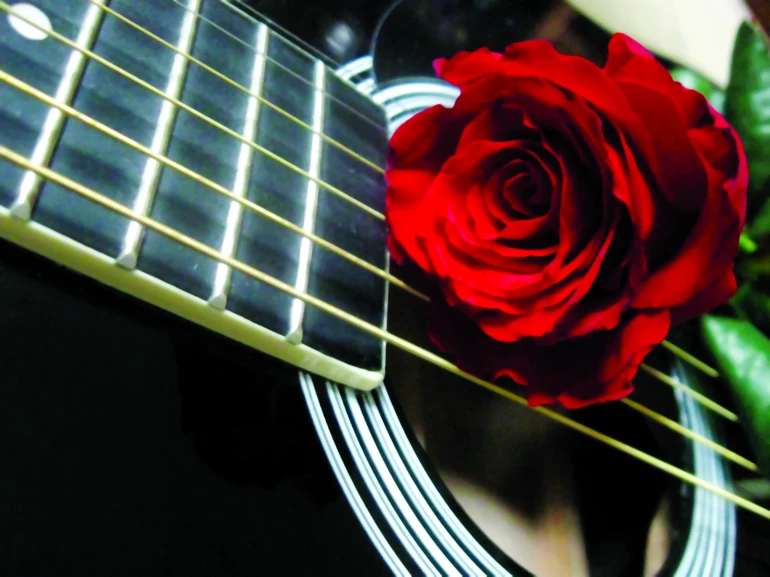 “Bông Hồng Cài Áo":   Giai điệu & ca từ tuyệt mỹ về Mẹ