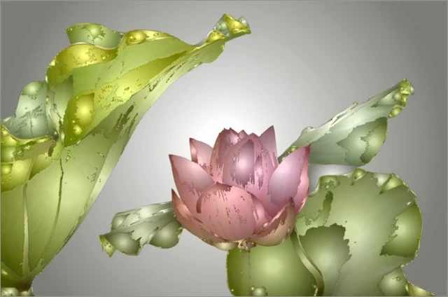 Phước báo thù thắng của bố thí